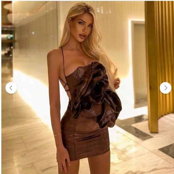 Zara fav blogger flowers voluminous dress Size M NEW WITH TAG! - Picture 4 of 15